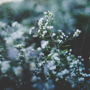 按在墙上抽插胸部晃动同学
